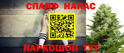 Альфа ПВП Будённовск