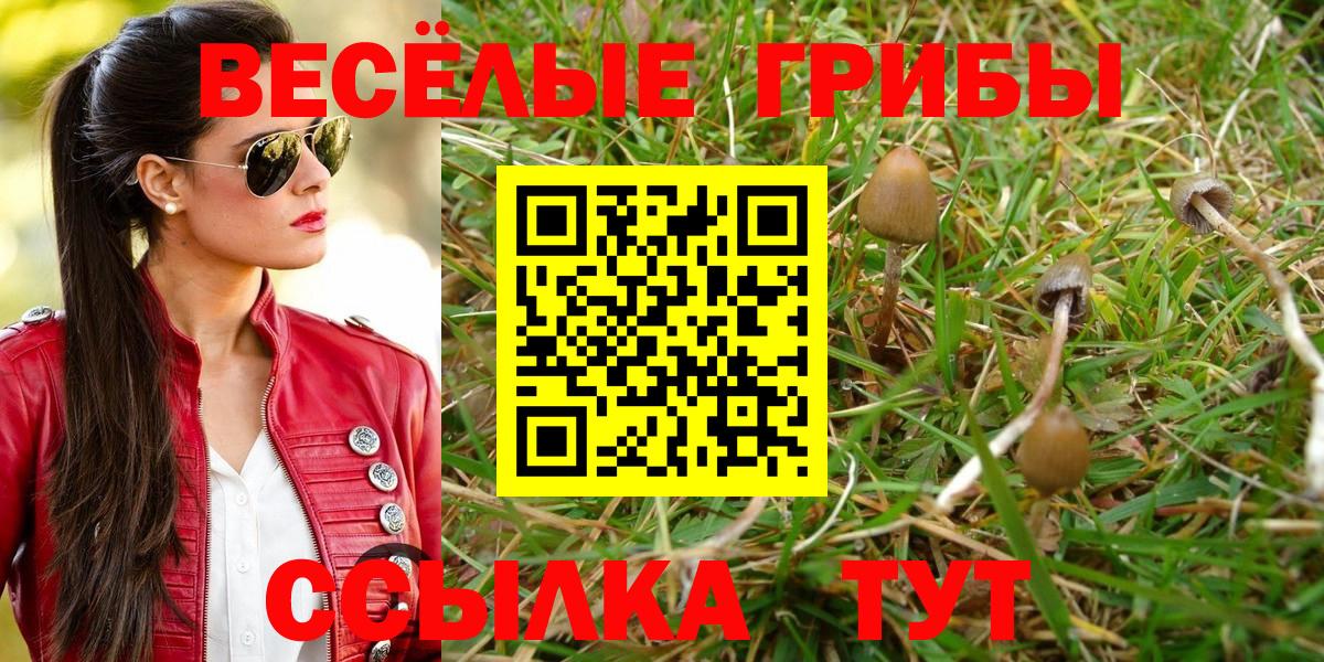 Псилоцибиновые грибы MAGIC MUSHROOMS  Галлюциногенные грибы Magic Shrooms  Вход с VPN  Приморско-Ахтарск 