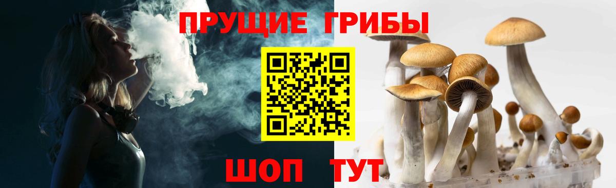 Псилоцибиновые грибы ЛСД Приморско-Ахтарск